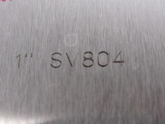 Check-All SV804 Flange Insert Check Valve 1" SS For Chlorine Service