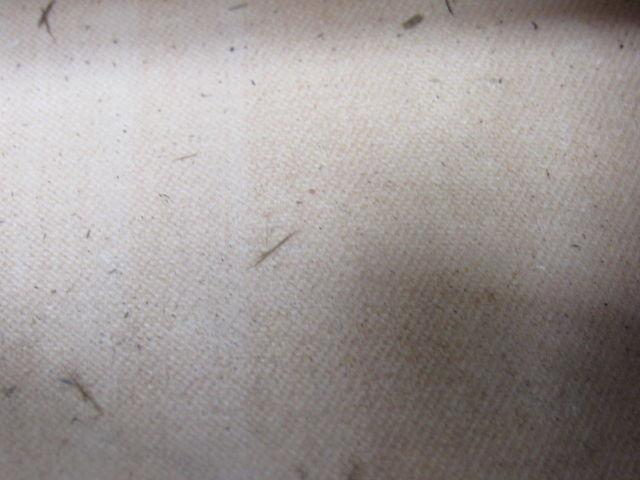 2-Ply White/Clear Polyurethane Smooth Top Conveyor Belt 51' X 49" X 0.065"