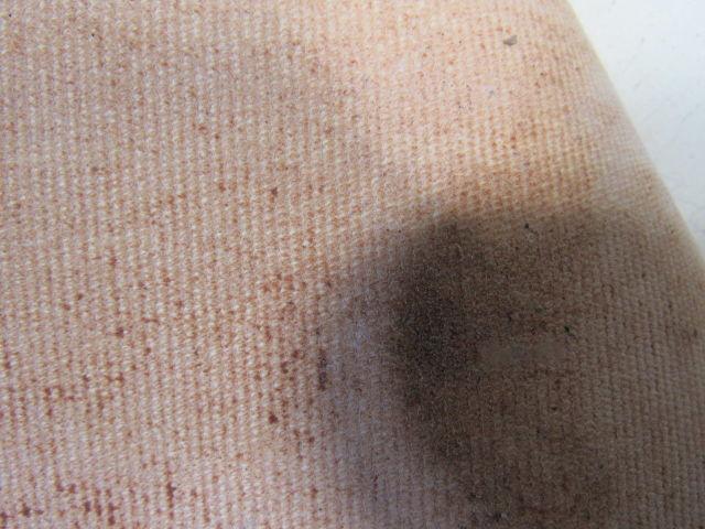 2-Ply White/Clear Polyurethane Smooth Top Conveyor Belt 52' X 49" X 0.065"