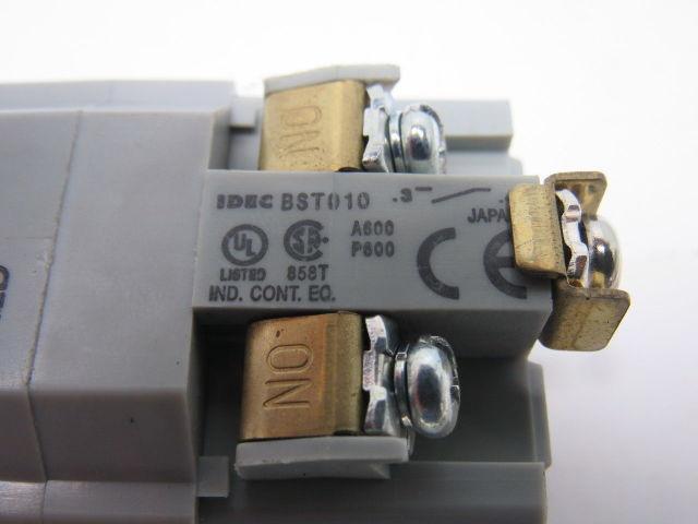 Idec BST010 600V Momentary Contact Push Button Pilot Light White LED 30mm