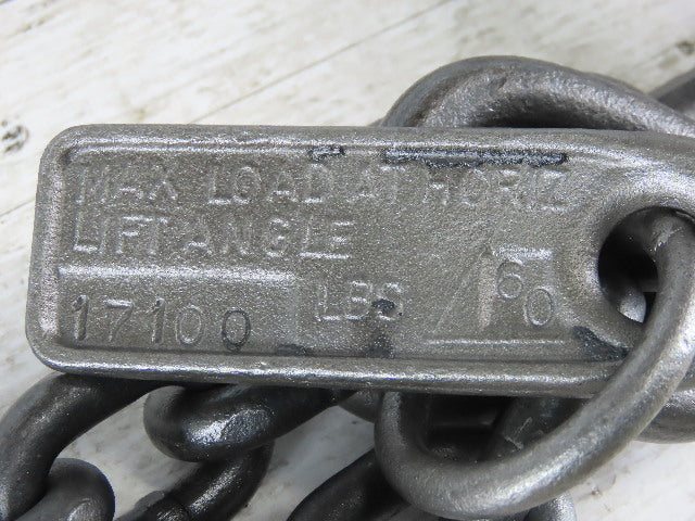 ACCO 77C3054 Double Basket Continuous Chain Sling 3/8" X 4'5" 17100Lb at 60°