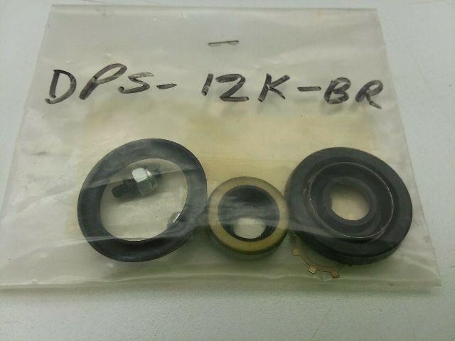 Chicago Cylinder Corporation DPS-12K-BR Repair Kit For N-258, N-114