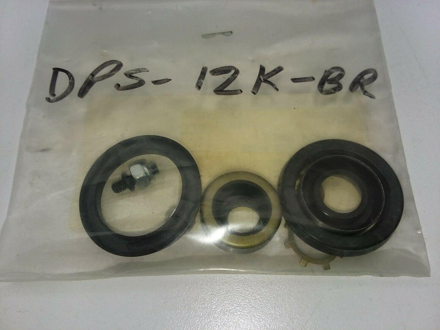 Chicago Cylinder Corporation DPS-12K-BR Repair Kit For N-258, N-114