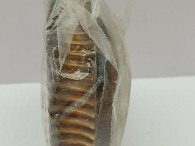 MixMor Mixer Replacement Worm Gear 05-05509-13, 46-35478-25