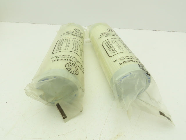 Gelman 12570 Acroflow II Filter Cartridge 0.2 um 10" LOT OF 2