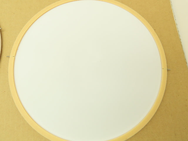 SPX 303437 Teflon PTFE Pump Diaphragm 243.6mm OD Lot of 2