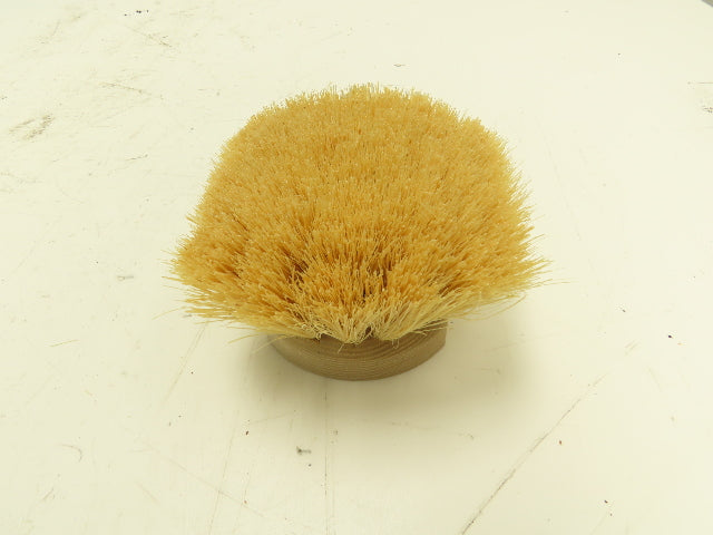 Osborn Pro 81018 Short Wood Handle Tampico Utility Scrub Brush Box of 12