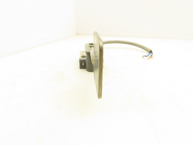 Omron D4C-1620 Limit Switch 250V Lot Of 4