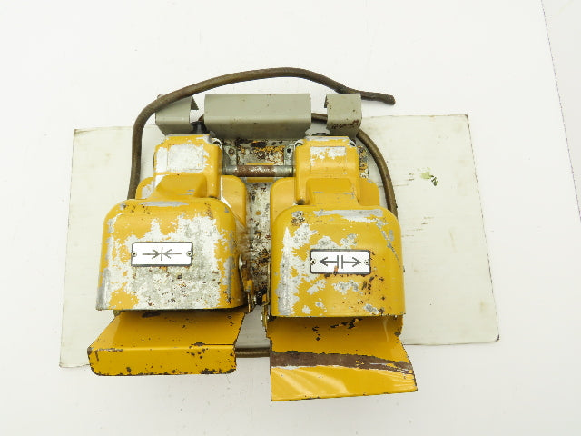 Ojiden OFL-TY1-SM2.KS Safety Guard Machine Foot Switch Double Pedal 10A 250V