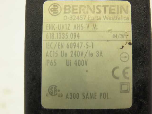 Bernstein ENK-UV1Z AHS-V Limit Switch 500V 10A 30mm Arm Plastic Roller Lot of 2