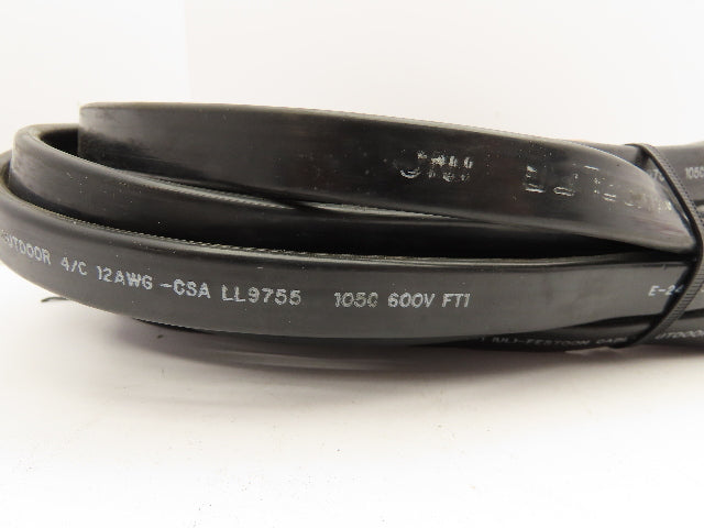 E-24573 PVC Flat Festoon 4/12 12AWG 600V Cable Approximately 40'