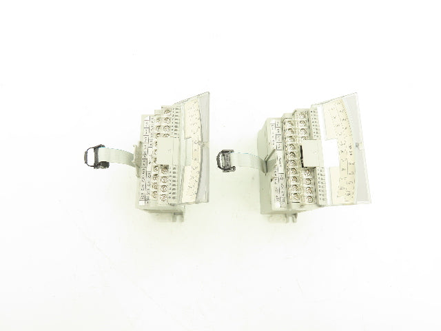 Allen Bradley 1762-IQ16 MicroLogix Sink Source Input Module Ser B Lot Of 2
