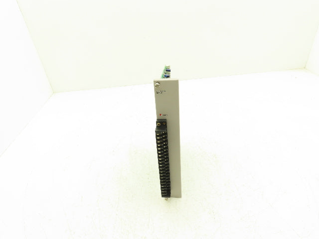 Siemens 505-6202 2 Channel Analog Output Module