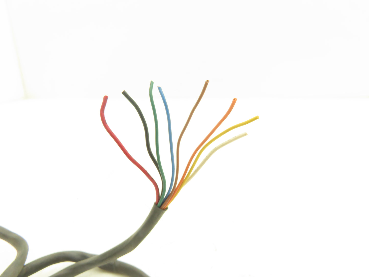 Interroll 29238 RollerDrive 1.9"x20" Motorized Conveyor Roller 24VDC 202fpm 16:1