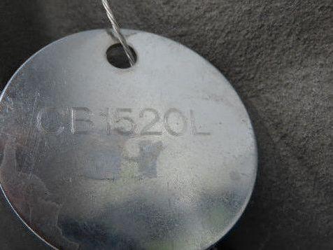 Bonney Forge 977646-0019 Piston Check Valve 2" ANSI Flange Class 150