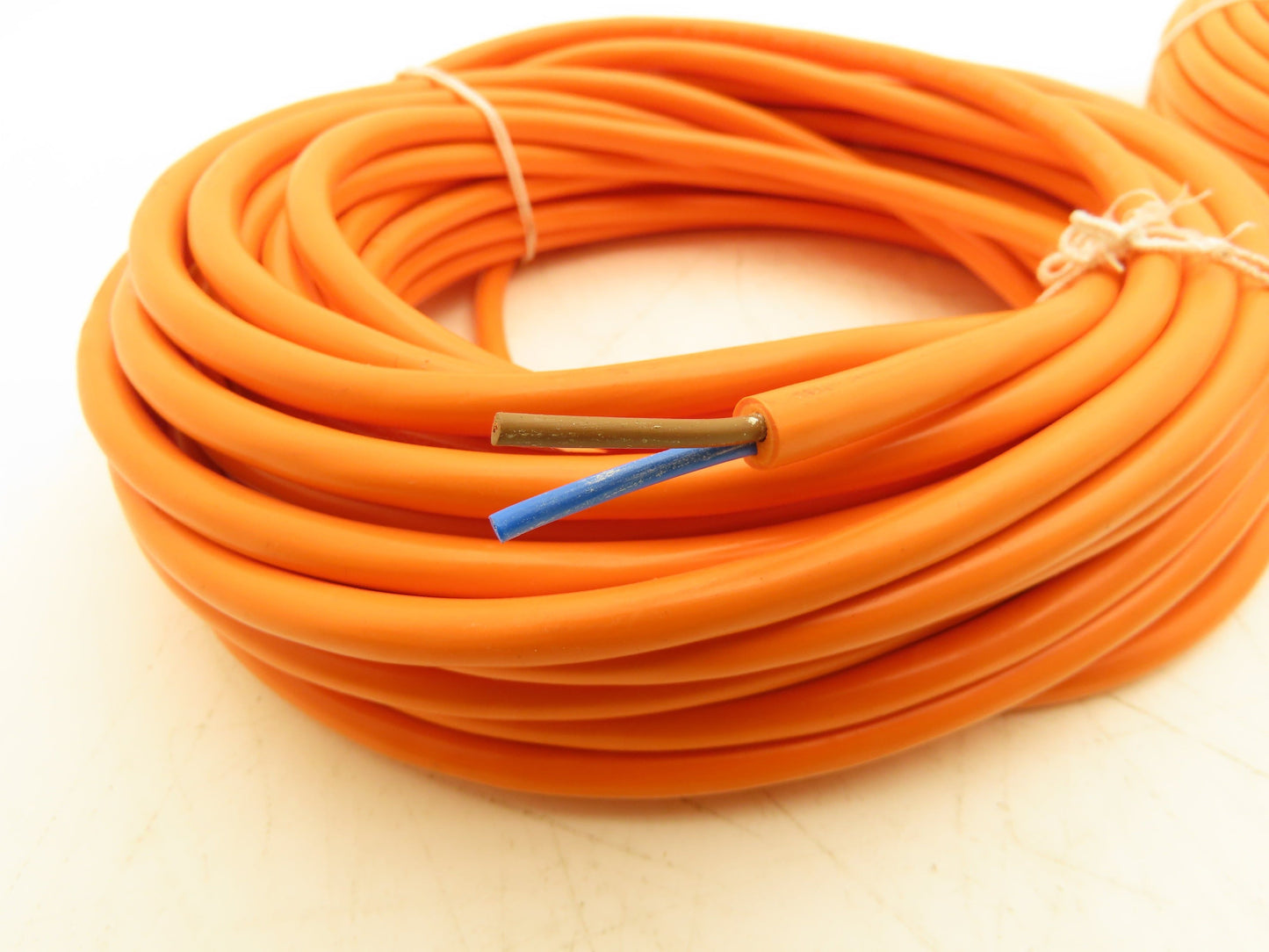 Belden RS 20-03 Cordset Single Male Straight 2 Pin Connector 230V AC/DC 49'