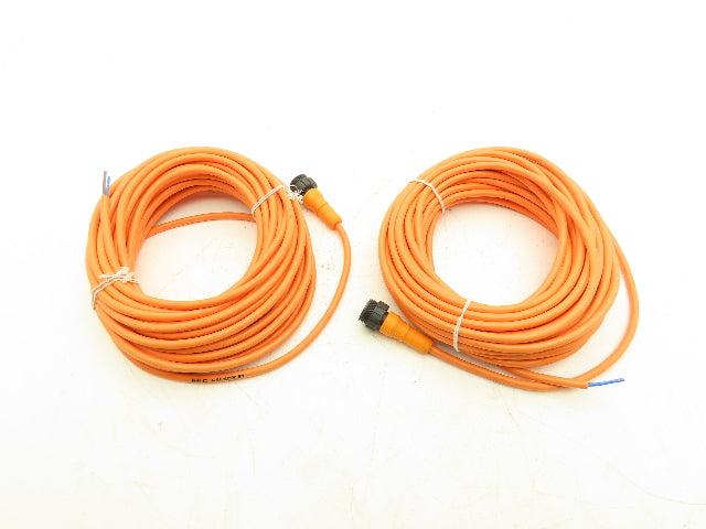 Belden RS 20-03 Cordset Single Male Straight 2 Pin Connector 230V AC/DC 49'