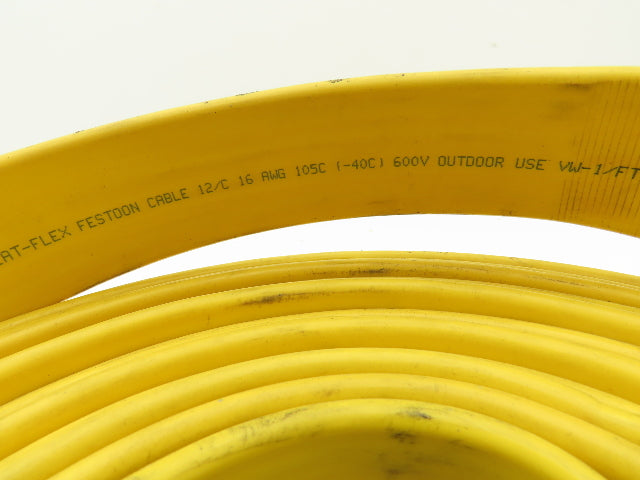 Festoon Cable Outdoor E60362H Multi-Conductor Flat Cable 12 Wire 16AWG 600V 24'