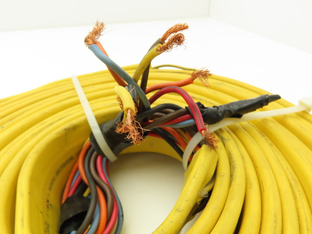Festoon Cable Outdoor E60362H Multi-Conductor Flat Cable 12 Wire 16AWG 600V 24'