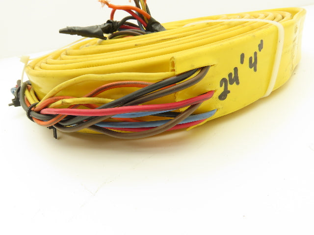 Festoon Cable Outdoor E60362H Multi-Conductor Flat Cable 12 Wire 16AWG 600V 24'