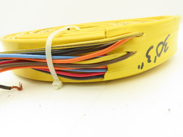 Festoon Cable Outdoor E60362H Multi-Conductor Flat Cable 12 Wire 16AWG 600V 30'