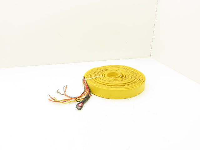 Festoon Cable Outdoor E60362H Multi-Conductor Flat Cable 12 Wire 16AWG 600V 30'