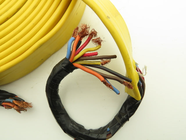Festoon Cable Outdoor E60362H Multi-Conductor Flat Cable 12 Wire 16AWG 600V 30'