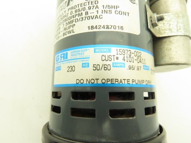 Gorman-Rupp 15973-002 Centrifugal Water Pump