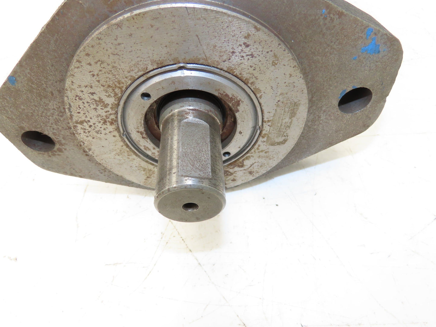 P37X198BASH25-11 Hydraulic Gear Pump Flange Mount 2" Intake & Output