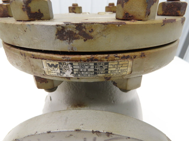 WM E Williams 151F-2 Swing Check Valve 3" Flanged Class 150 285 PSI