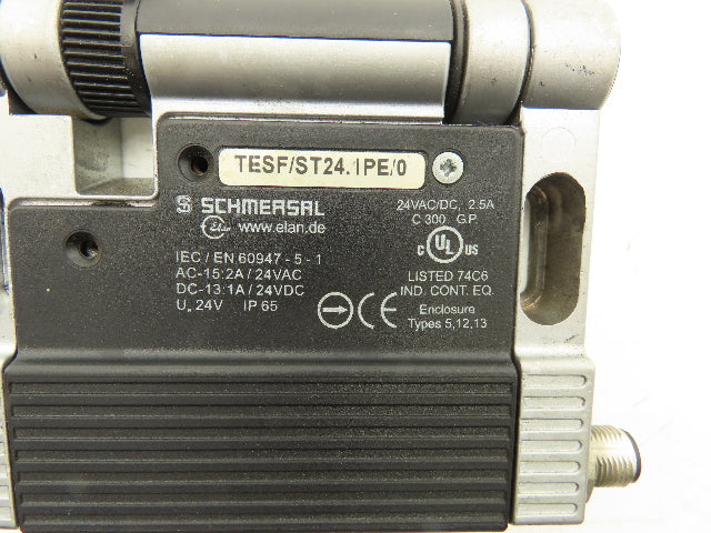 Schmersal TESF/ST24.1PE Safety Limit Switch Hinged 180° Swing