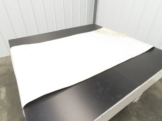 Habasit FNB-5E+H15 Food Grade Antimicrobial Conveyor Belt 28"W x 53"L
