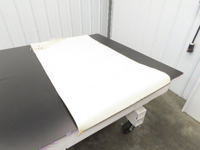 Habasit FNB-5E+H15 Food Grade Antimicrobial Conveyor Belt 28"W x 53"L