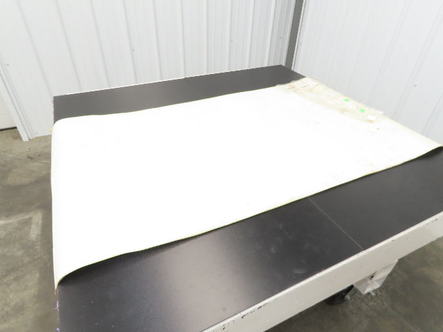 Habasit FNB-5E+H15 Food Grade Antimicrobial Conveyor Belt 28"W x 53"L