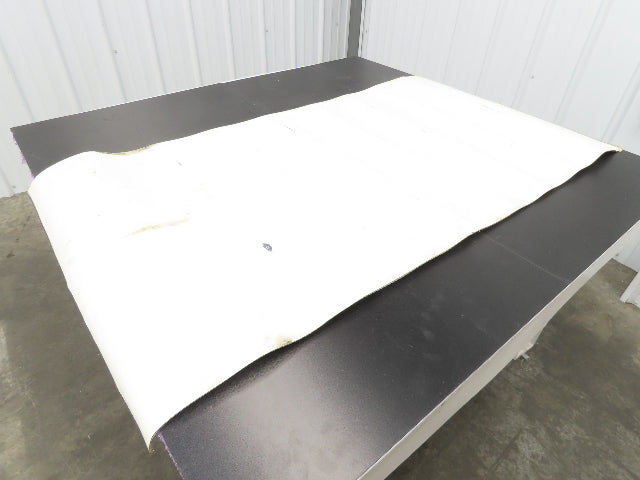 Habasit FNB-5E/FDA USDA Food Grade Antimicrobial Conveyor Belt 28"W x 52.5"L