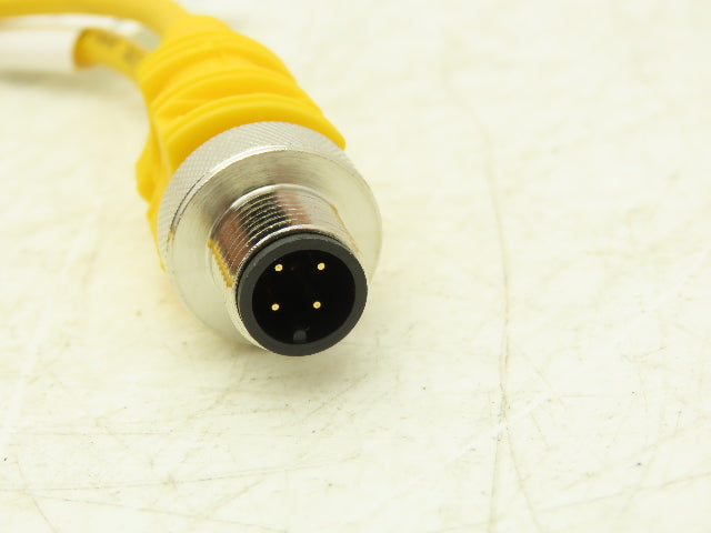 Turck VBRS 4.4-2PKG 3M-0.3/0.3 Cordset Splitter M12 Male- 2x M8 Female Lot of 3