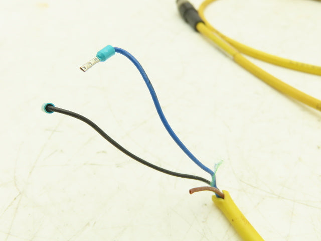 Phoenix Contact 1406281 3-Pin 3 Wire 2 Meter Cable Straight M8 Plug Lot of 16