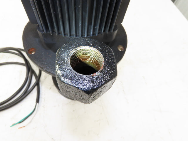 Aryung ACP-750HF19-1P Immersion Coolant Pump 55L/min .75kw 230V 1PH 3/4"npt
