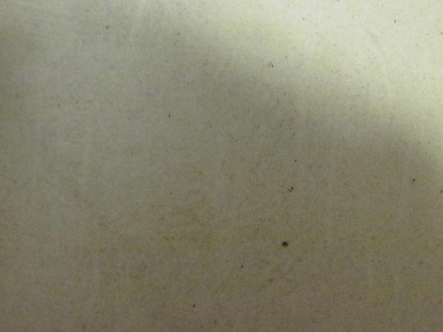 White Polyester/Nylon Impression Top Conveyor Belt 60" Wide 1/16" Thick 77"Long