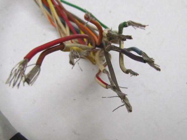 Reliance Electric 612571-036S Cable Assembly 17-Pin Male Connector 18 AWG 3' L
