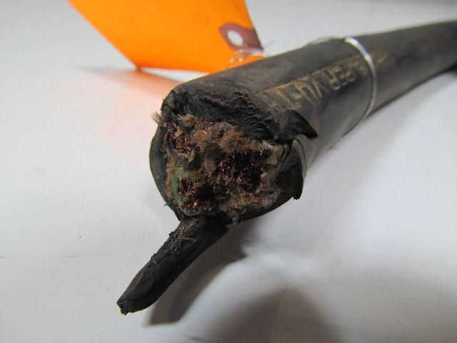 Carol Portable 8.5' Power Cable 4/3 Type W 600V/2000V Sunlight/Water Resistant