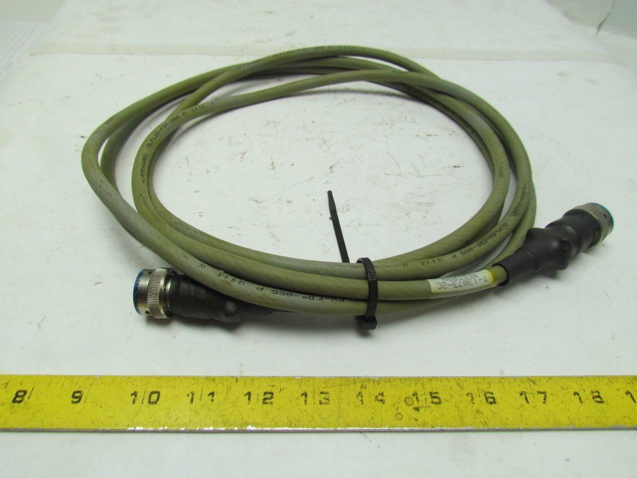 Testron T-13073-2C 4 Pin Double Ended Male/Female ConnectorCable