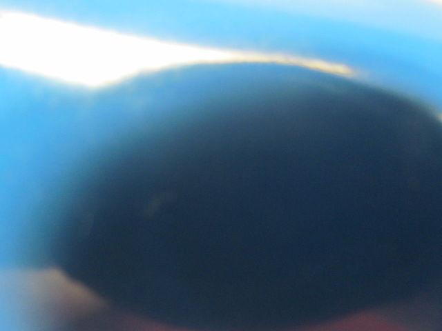 Blue General Purpose Smooth Top 0.080" Thick 23"Wide 7Ft Long Conveyor Belt