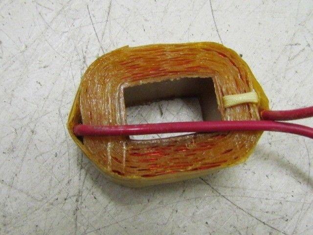 Danly Air Valve Coil 110V 50/60 Hz A-10907A-6 45-18-96002 0Gden No. 219D2 NEW