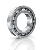 Ball & Roller Bearings