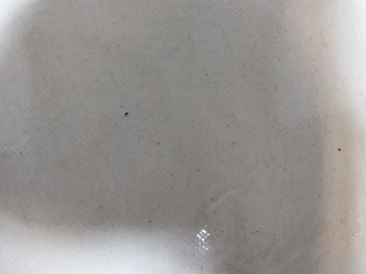 1-Ply Smooth Nylon Backed V Guide white Conveyor Belt 23' 9-1/4" X 43.5"