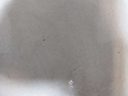 1-Ply Smooth Nylon Backed V Guide white Conveyor Belt 23' 9-1/4" X 43.5"