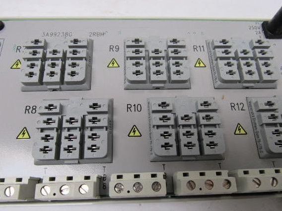 Westinghouse 1C31222G01 Relay Output Base  W/1C31219G01 Output Relay Module