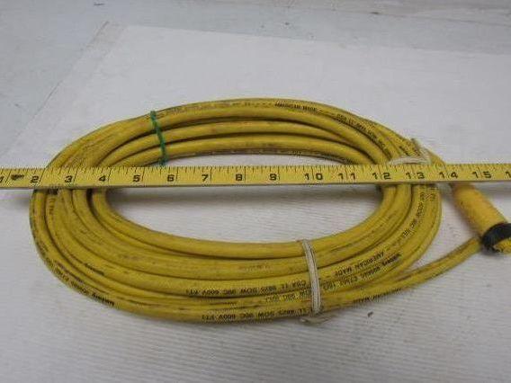 Lumberg RK 30-685/30FT Control Cable 3-Pin