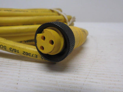 Lumberg RK 30-685/30FT Control Cable 3-Pin